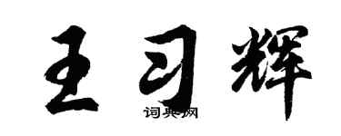 胡问遂王习辉行书个性签名怎么写