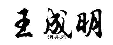 胡问遂王成明行书个性签名怎么写