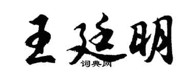 胡问遂王廷明行书个性签名怎么写