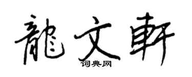 王正良龙文轩行书个性签名怎么写