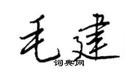 王正良毛建行书个性签名怎么写