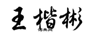 胡问遂王楷彬行书个性签名怎么写