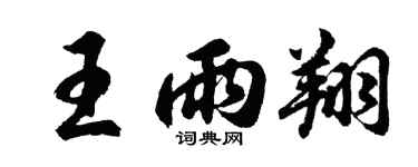 胡问遂王雨翔行书个性签名怎么写