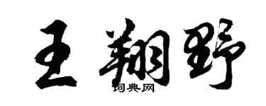 胡问遂王翔野行书个性签名怎么写