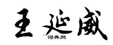 胡问遂王延威行书个性签名怎么写