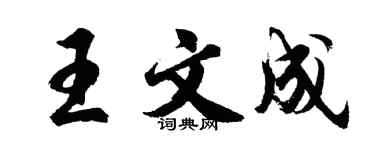 胡问遂王文成行书个性签名怎么写