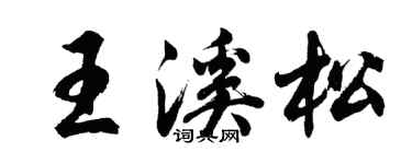 胡问遂王溪松行书个性签名怎么写