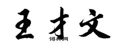 胡问遂王才文行书个性签名怎么写