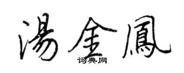 王正良汤金凤行书个性签名怎么写