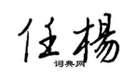 王正良任杨行书个性签名怎么写