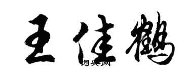 胡问遂王佳鹤行书个性签名怎么写