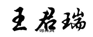 胡问遂王君瑞行书个性签名怎么写