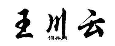 胡问遂王川云行书个性签名怎么写