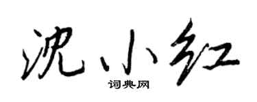 王正良沈小红行书个性签名怎么写