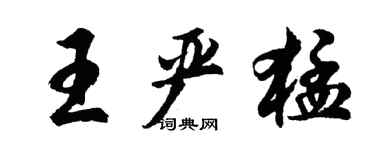 胡问遂王严猛行书个性签名怎么写