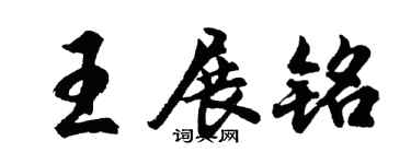 胡问遂王展铭行书个性签名怎么写