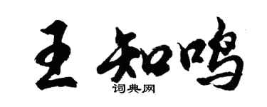 胡问遂王知鸣行书个性签名怎么写