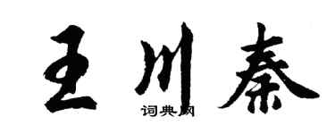 胡问遂王川秦行书个性签名怎么写