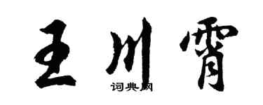 胡问遂王川霄行书个性签名怎么写