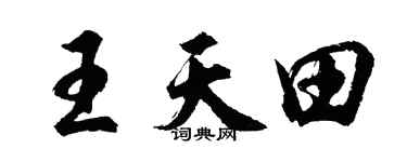 胡问遂王天田行书个性签名怎么写