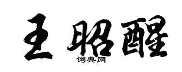 胡问遂王昭醒行书个性签名怎么写