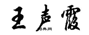 胡问遂王声霞行书个性签名怎么写