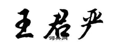 胡问遂王君严行书个性签名怎么写