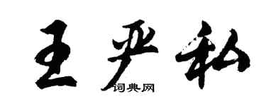 胡问遂王严私行书个性签名怎么写