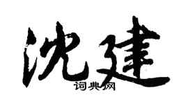 胡问遂沈建行书个性签名怎么写