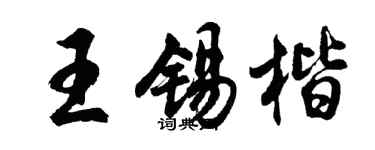 胡问遂王锡楷行书个性签名怎么写