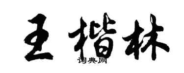 胡问遂王楷林行书个性签名怎么写