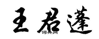 胡问遂王君蓬行书个性签名怎么写