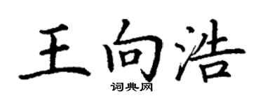 丁谦王向浩楷书个性签名怎么写