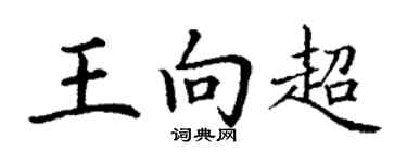 丁谦王向超楷书个性签名怎么写