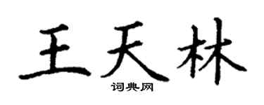 丁谦王天林楷书个性签名怎么写