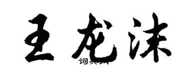 胡问遂王龙沫行书个性签名怎么写