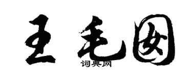 胡问遂王毛囡行书个性签名怎么写