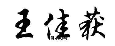 胡问遂王佳获行书个性签名怎么写