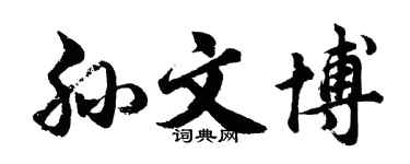 胡问遂孙文博行书个性签名怎么写