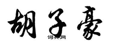 胡问遂胡子豪行书个性签名怎么写