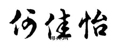 胡问遂何佳怡行书个性签名怎么写