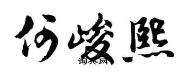 胡问遂何峻熙行书个性签名怎么写