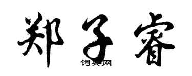 胡问遂郑子睿行书个性签名怎么写