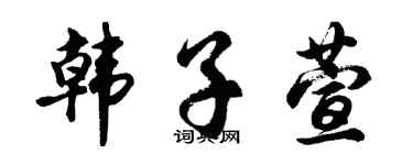 胡问遂韩子萱行书个性签名怎么写