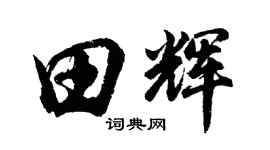 胡问遂田辉行书个性签名怎么写