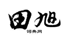 胡问遂田旭行书个性签名怎么写