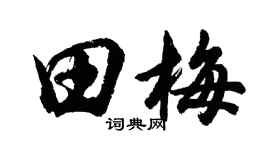 胡问遂田梅行书个性签名怎么写