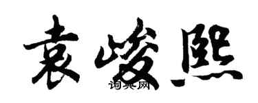 胡问遂袁峻熙行书个性签名怎么写