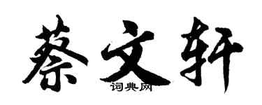 胡问遂蔡文轩行书个性签名怎么写