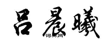 胡问遂吕晨曦行书个性签名怎么写